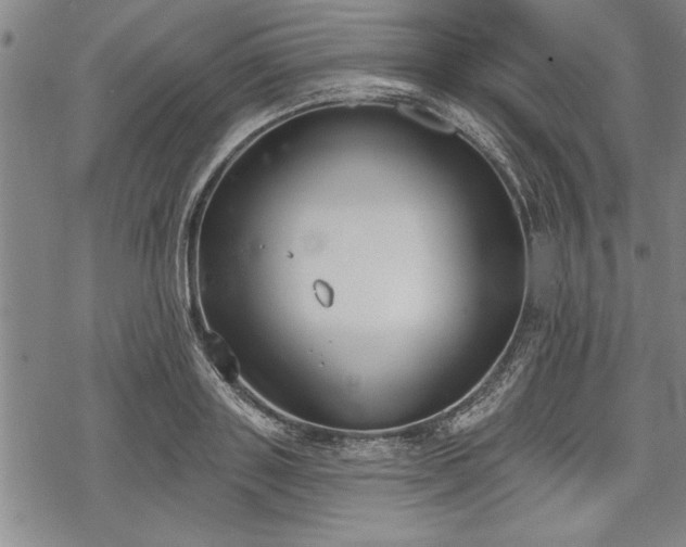 X0000069380843200605150915