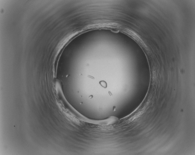 X0000069380844200605150915