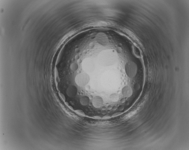 X0000069380845200605150915