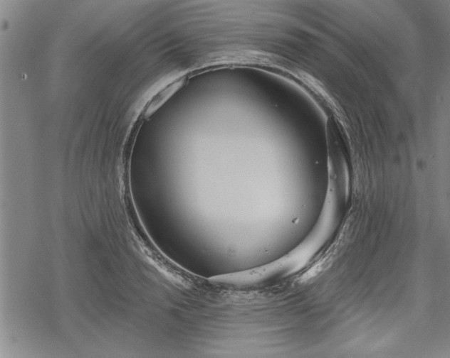 X0000069380846200605150915