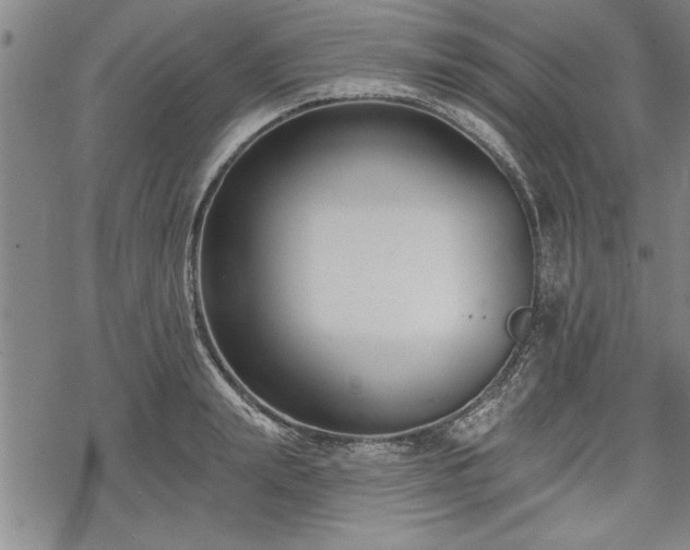 X0000069380847200605150915