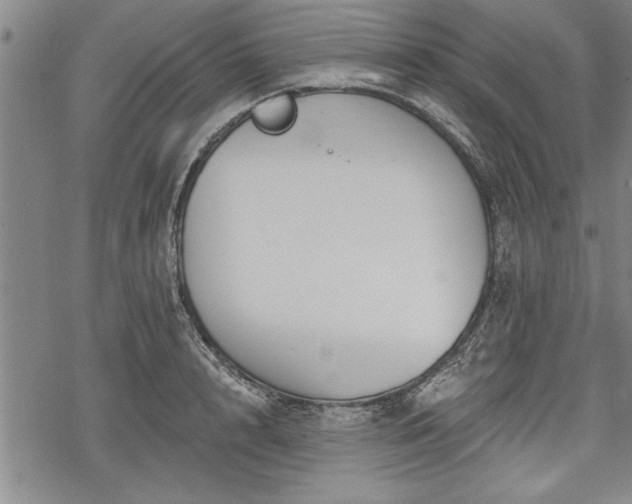 X0000069380848200605150915