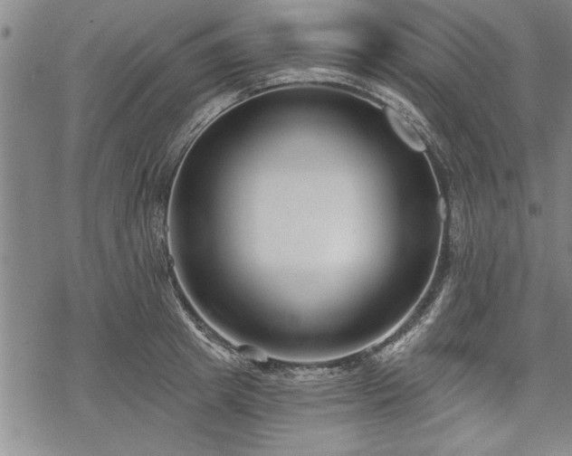 X0000069380849200605150915