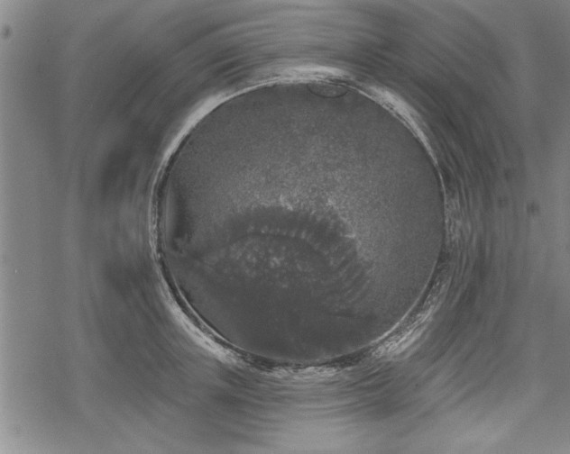 X0000069380851200605150915