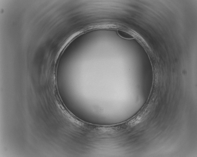 X0000069380852200605150915