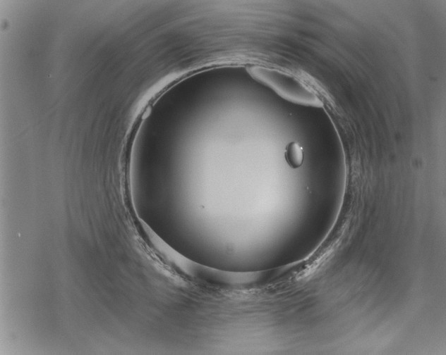 X0000069380854200605150916