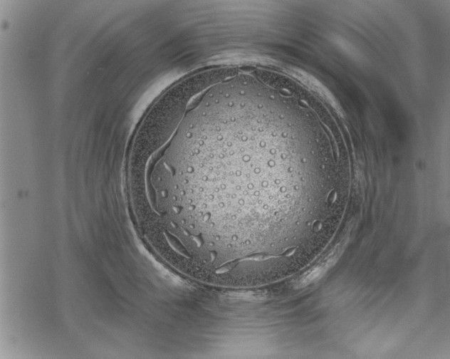 X0000069380855200605150916