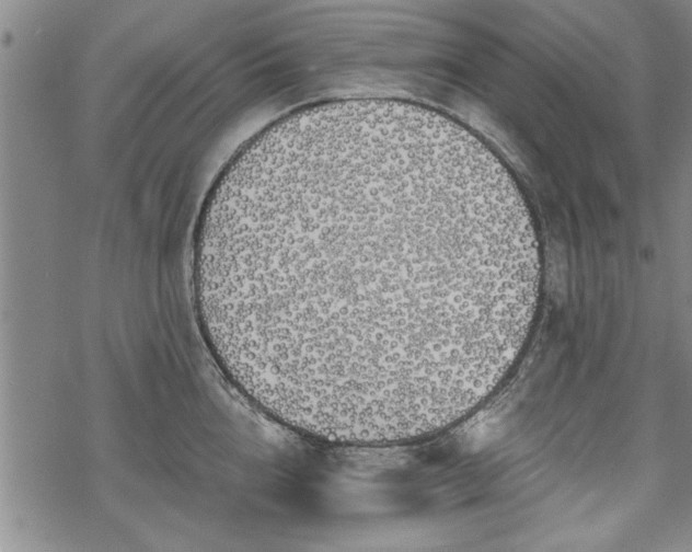 X0000069380856200605150916