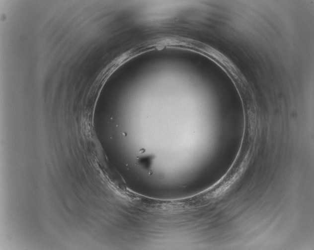 X0000069380857200605150916