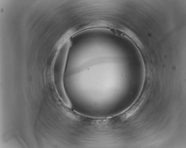 X0000069380858200605150916