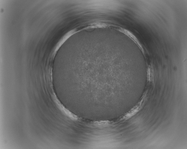 X0000069380859200605150916