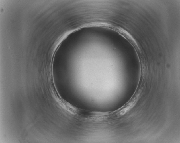 X0000069380860200605150916