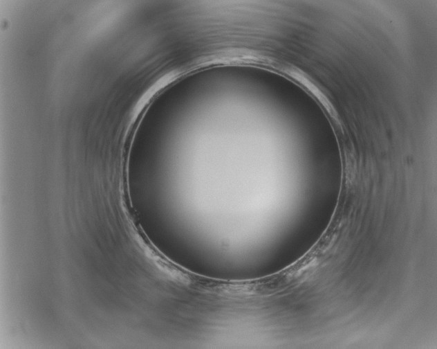 X0000069380861200605150916