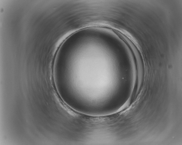 X0000069380862200605150916