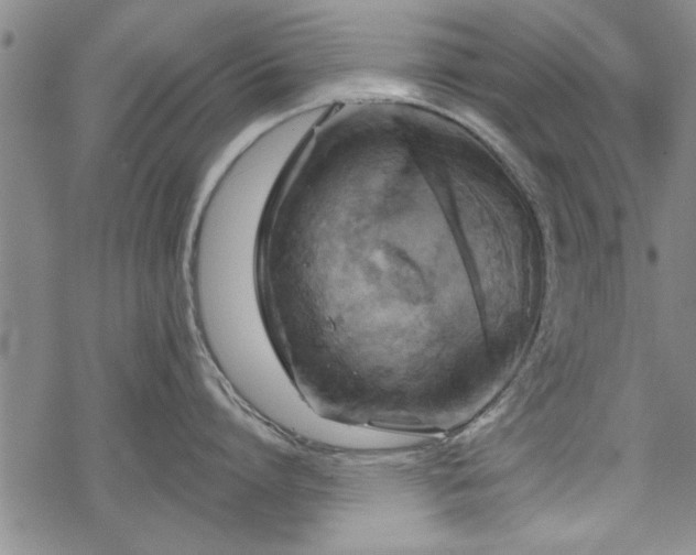 X0000069380864200605150916