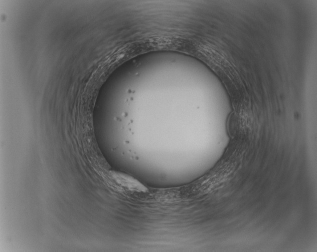 X0000069380865200605150915