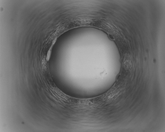 X0000069380866200605150915