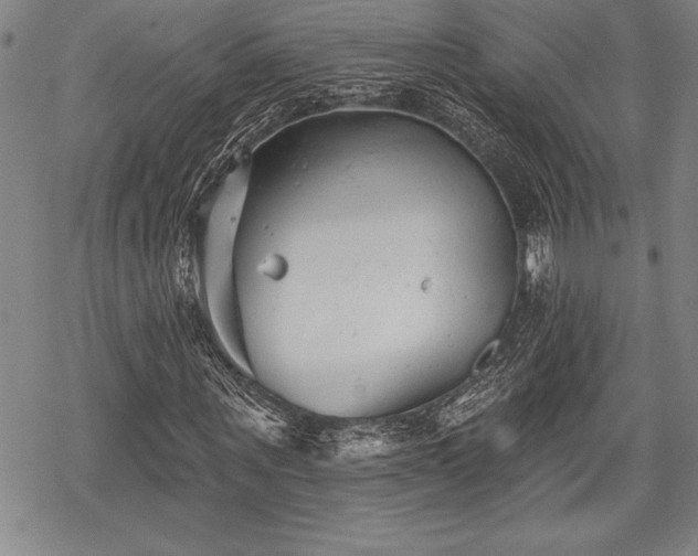 X0000069380867200605150915