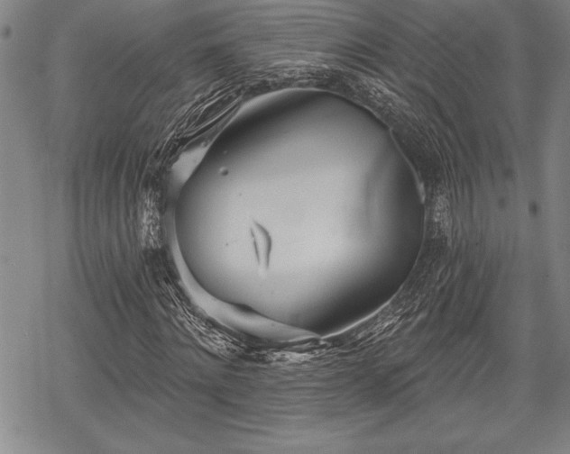 X0000069380868200605150915