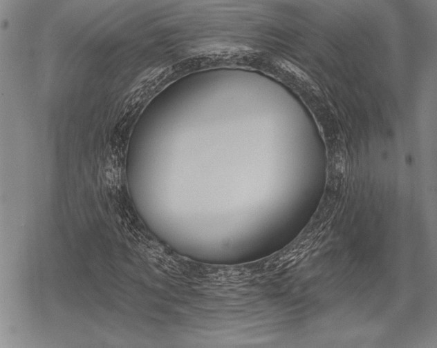 X0000069380869200605150915