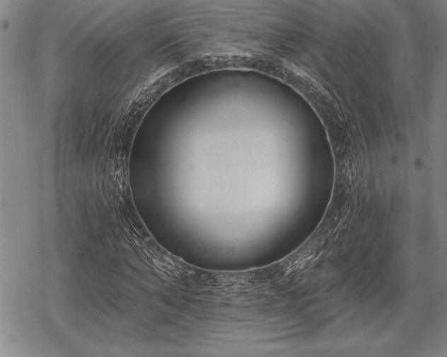 X0000069380870200605150915