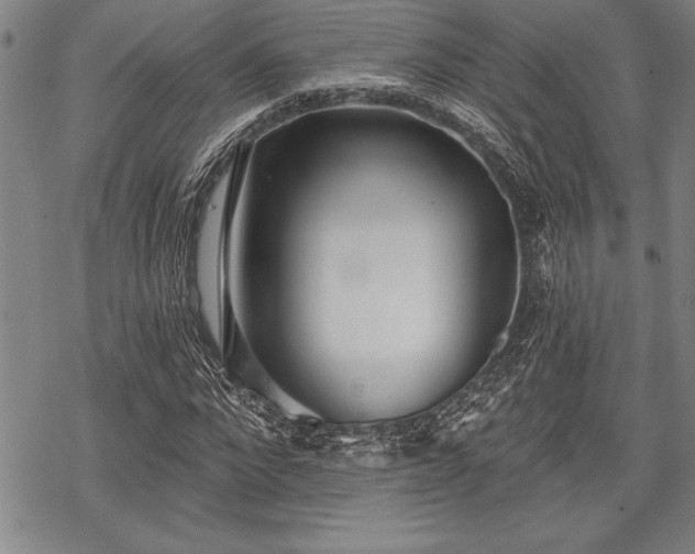 X0000069380872200605150915