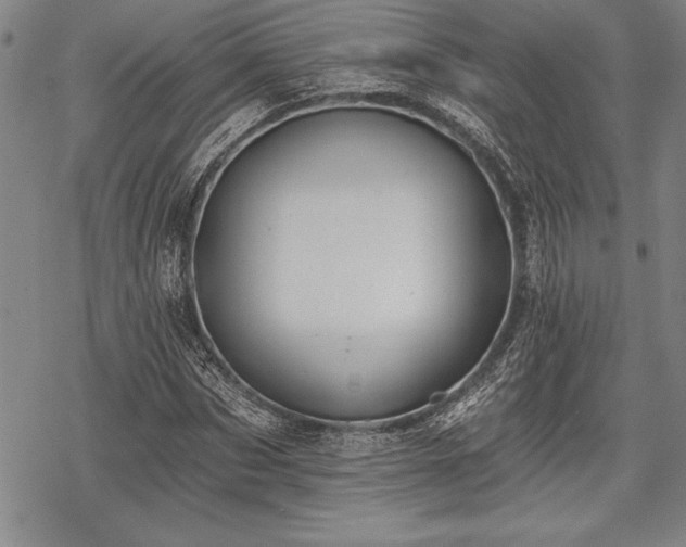 X0000069380873200605150915