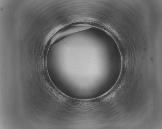 X0000069380877200605150915