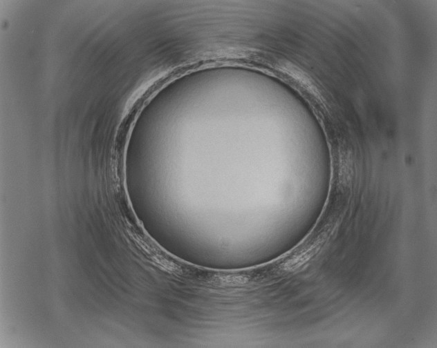 X0000069380878200605150915