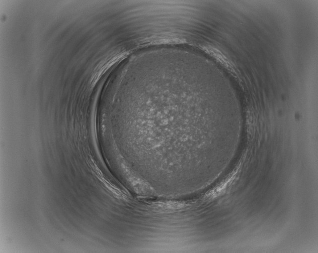 X0000069380881200605150915