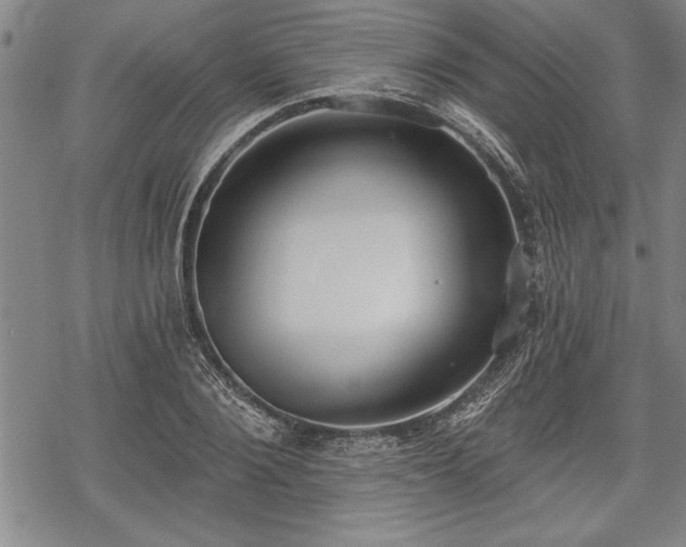 X0000069380884200605150915