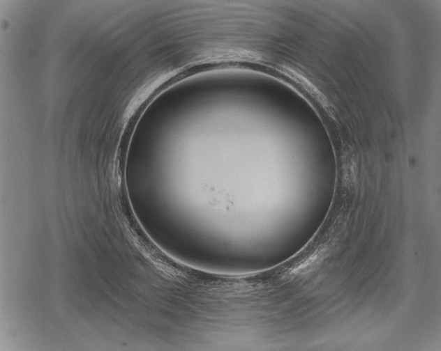 X0000069380885200605150915