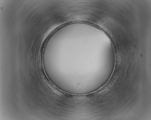 X0000069380886200605150915