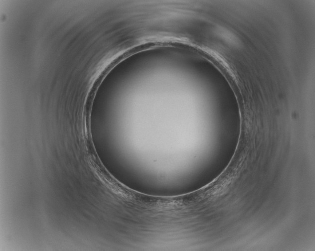 X0000069380887200605150915