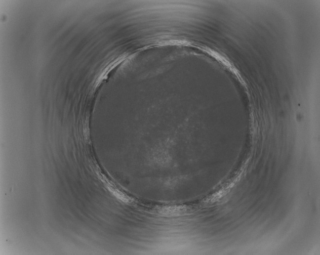 X0000069380889200605150914