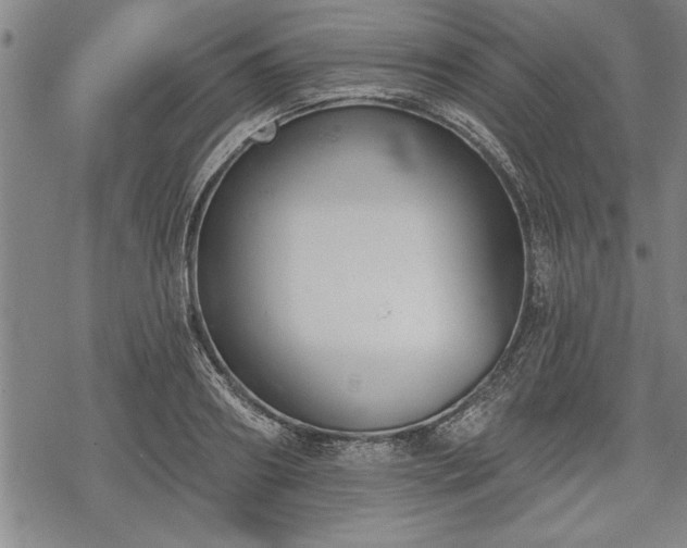 X0000069380890200605150914