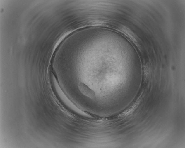 X0000069380891200605150914