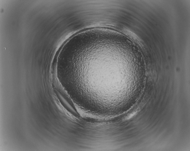 X0000069380892200605150914