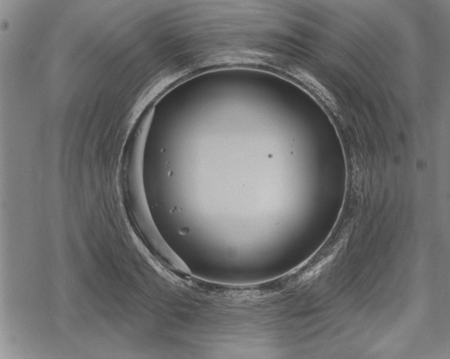 X0000069380893200605150914