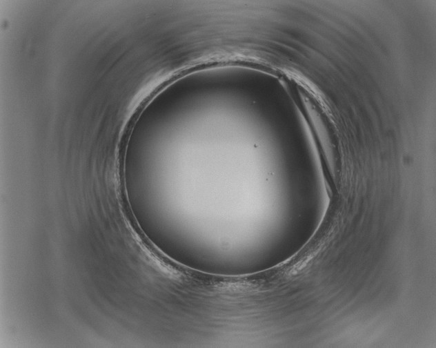 X0000069380894200605150914