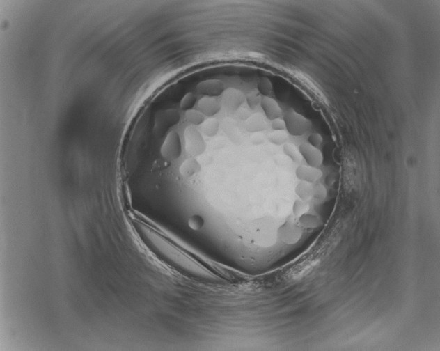 X0000069380895200605150914