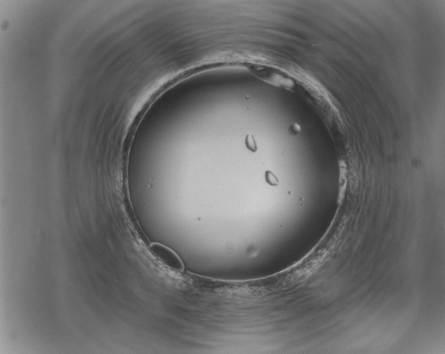 X0000069380896200605150914