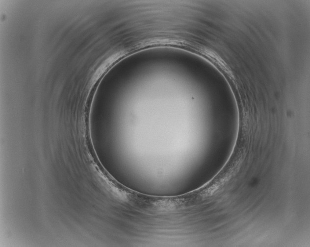 X0000069380898200605150914