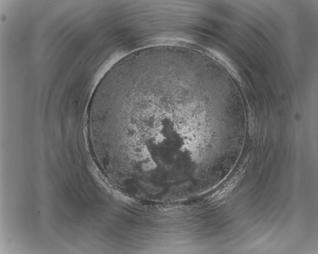 X0000069380899200605150914