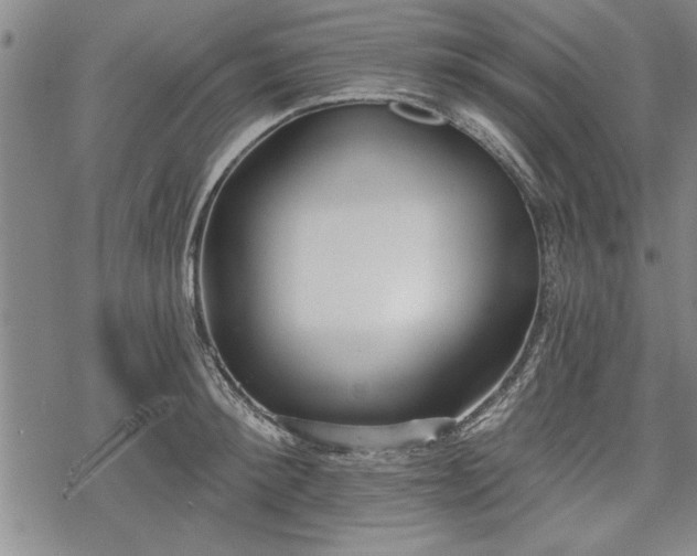 X0000069380900200605150914