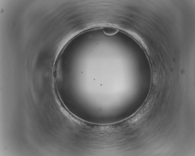 X0000069380903200605150914