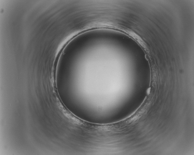 X0000069380904200605150914