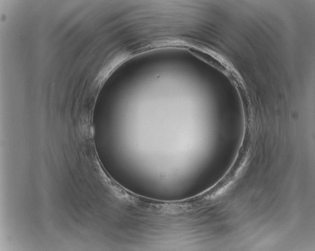 X0000069380905200605150914