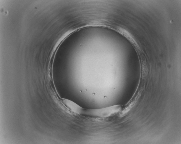 X0000069380908200605150914