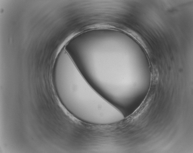 X0000069380909200605150914